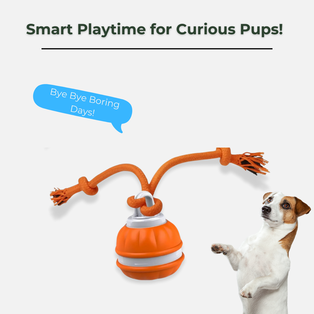 OrbitPup Motion Ball
