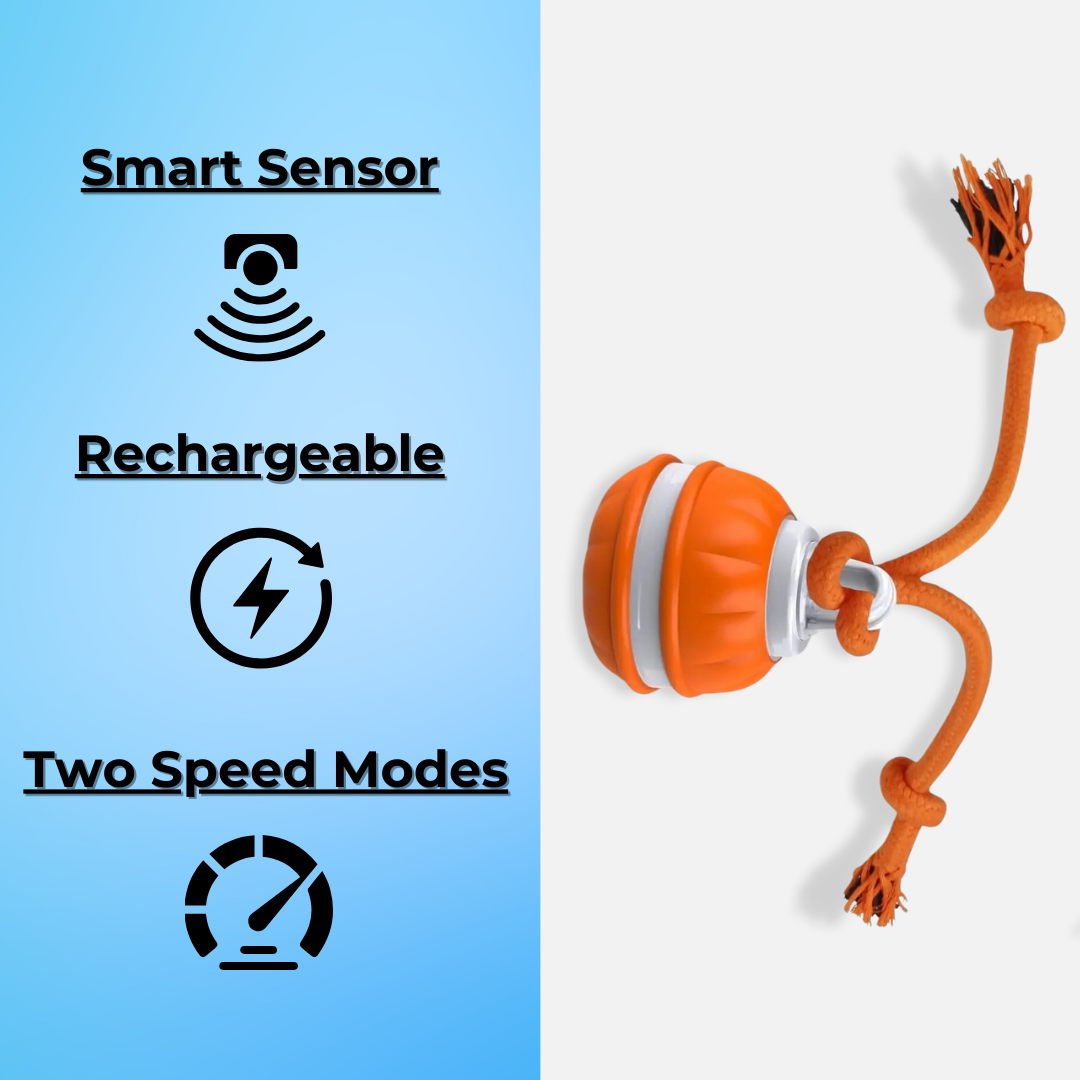 OrbitPup Motion Ball