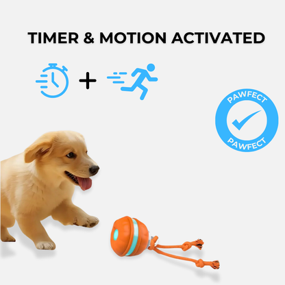 OrbitPup Motion Ball